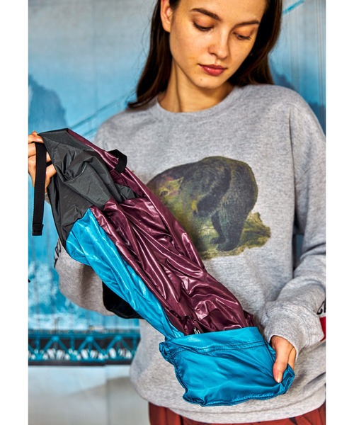 AlexanderLeeChang（アレキサンダーリーチャン）の「AlexanderLeeChang アレキサンダーリーチャン / 5050 POCKETABLE DAYPAC ポケッタブルデイパック リュックサック / AC052139（バックパック/リュック・メンズ・グレー/ネイビー/ブルー・ONE SIZE）」の12枚目の写真