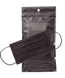 AVIREX | 【直営店限定】PLEATED FACE MASK 10 pieces set / プリーツ 不織布 マスク / AVIREX / アヴィレックス(マスク)
