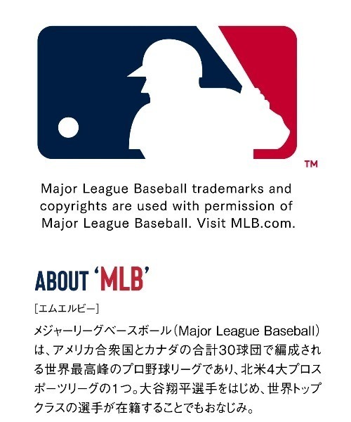 IEDIT(イディット)の「IEDIT オリジナルMLBデザイン モモンガシルエットの八分袖スウェットトップス(スウェット・レディース・チャコール/グレー/ネイビー・MEDIUM/LARGE/X-LARGE/XX-LARGE/XXX-LARGE/SMALL)」の11枚目の写真