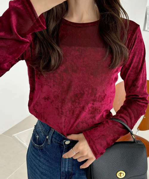 Ada.(エイダ)の「シアー ベロア クルーネック ロングスリーブ トップス(Tシャツ/カットソー・レディース・チャコール/ブラウン/ボルドー・FREE)」の3枚目の写真