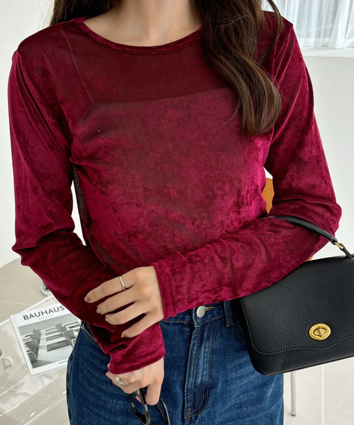 Ada.(エイダ)の「シアー ベロア クルーネック ロングスリーブ トップス(Tシャツ/カットソー・レディース・チャコール/ブラウン/ボルドー・FREE)」の10枚目の写真