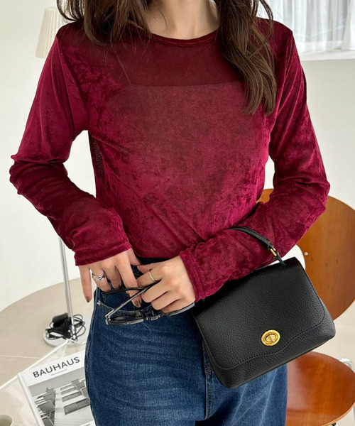Ada.(エイダ)の「シアー ベロア クルーネック ロングスリーブ トップス(Tシャツ/カットソー・レディース・チャコール/ブラウン/ボルドー・FREE)」の21枚目の写真