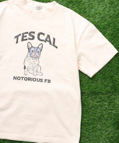 The Endless Summer(エンドレスサマー)の「TES LA NOTORIOUS BUHI T-SHIRT / Tシャツ(Tシャツ/カットソー・メンズ・アイボリー/ホワイト・SMALL/MEDIUM/LARGE/X-LARGE)」の8枚目の写真