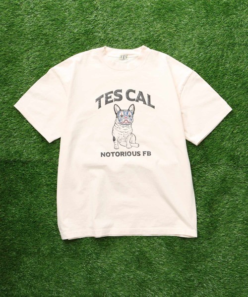 The Endless Summer(エンドレスサマー)の「TES LA NOTORIOUS BUHI T-SHIRT / Tシャツ(Tシャツ/カットソー・メンズ・アイボリー/ホワイト・SMALL/MEDIUM/LARGE/X-LARGE)」の6枚目の写真