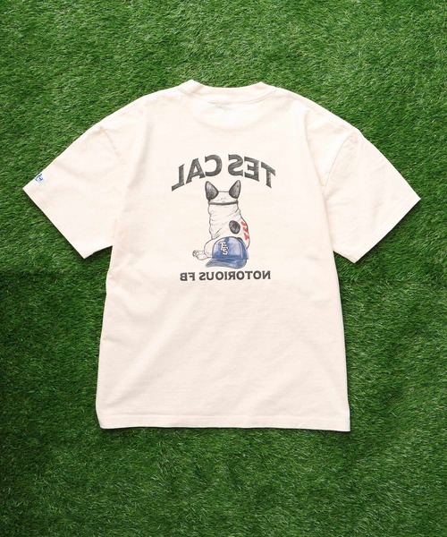 The Endless Summer(エンドレスサマー)の「TES LA NOTORIOUS BUHI T-SHIRT / Tシャツ(Tシャツ/カットソー・メンズ・アイボリー/ホワイト・SMALL/MEDIUM/LARGE/X-LARGE)」の7枚目の写真