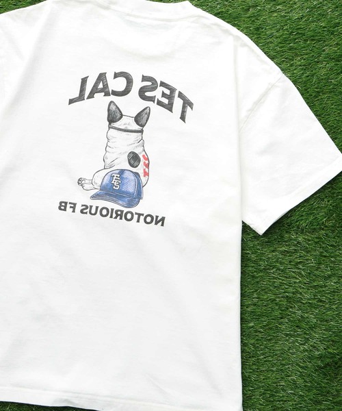 The Endless Summer(エンドレスサマー)の「TES LA NOTORIOUS BUHI T-SHIRT / Tシャツ(Tシャツ/カットソー・メンズ・アイボリー/ホワイト・SMALL/MEDIUM/LARGE/X-LARGE)」の5枚目の写真