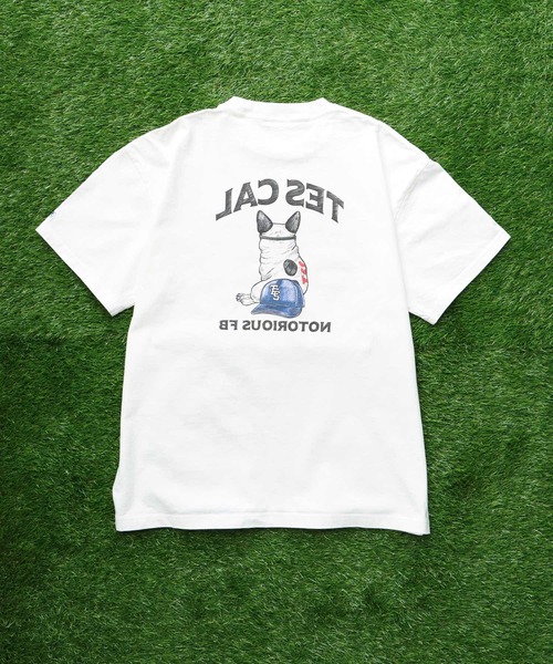 The Endless Summer(エンドレスサマー)の「TES LA NOTORIOUS BUHI T-SHIRT / Tシャツ(Tシャツ/カットソー・メンズ・アイボリー/ホワイト・SMALL/MEDIUM/LARGE/X-LARGE)」の4枚目の写真