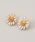 IENAiCGij́uKenneth Jay Lane/PlX WFC [ FLOWER PIERCE sAX()isAXipjjvbzCg