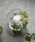 DULTONi_gj́uCANDLE HOLDER GLASSBALL S /Lhz_[ OX{[ SiLhjvb̑