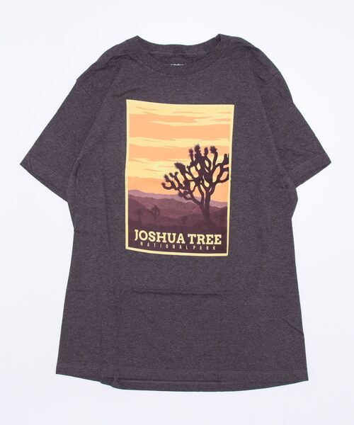 PARKS TOKYO SELECT（パークストウキョウセレクト）の「【National Park Foundation】（UN）NATIONAL PARK PT TEE（Tシャツ/カットソー・メンズ・D/C/E/A/B/F・X-LARGE/LARGE/MEDIUM）」の2枚目の写真