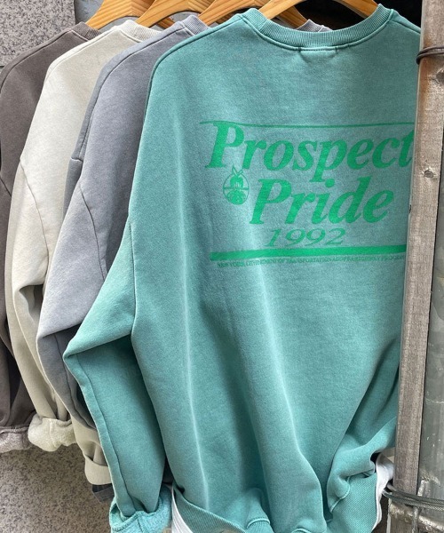Dalfwin（ダールフィン）の「2022 AW 秋冬 韓国ファッション スウェット レディース ユニセックス 裏起毛あり　Prospectプリントスウェット トレーナー オーバーサイズ ビッグシルエット 男女兼用 ペア（スウェット・レディース・ブラウン/グレー/ミント/ベージュ・FREE）」の16枚目の写真