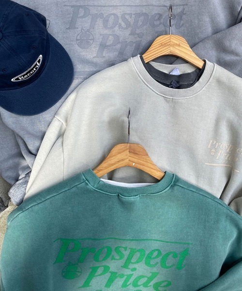 Dalfwin（ダールフィン）の「2022 AW 秋冬 韓国ファッション スウェット レディース ユニセックス 裏起毛あり　Prospectプリントスウェット トレーナー オーバーサイズ ビッグシルエット 男女兼用 ペア（スウェット・レディース・ブラウン/グレー/ミント/ベージュ・FREE）」の20枚目の写真