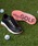 +diana�i�v���X�_�C�A�i�j�́u�y+dianaGOLF�z���[�X�A�b�v�S���t�V���[�Y�i�X�j�[�J�[�j�v�b�u���b�N