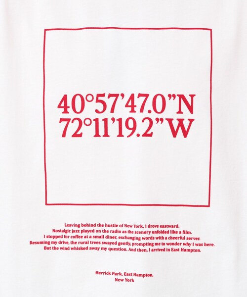 Dessin（デッサン）の「【ユニセックス・洗える】座標プリントTシャツ（Tシャツ/カットソー・レディース・ホワイト/グレー/ネイビー・01/02/03/04/00）」の7枚目の写真