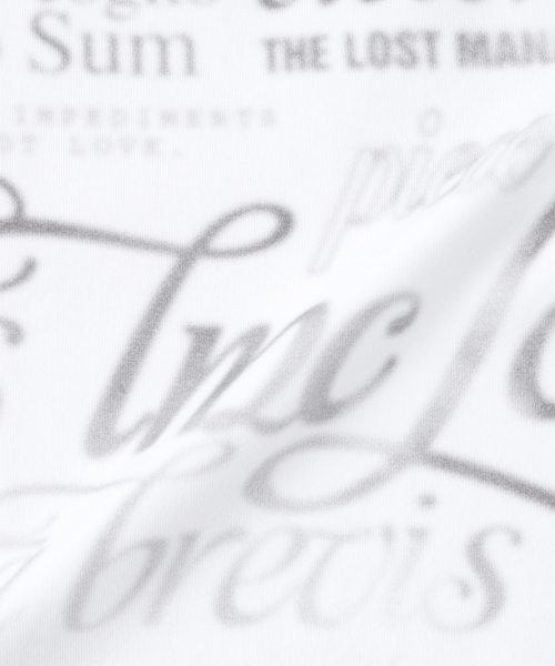 LMCの「LMC / エルエムシーWM GRADATION LETTERING RAGLAN LONG S(Tシャツ/カットソー・レディース・チャコールグレー/ブラウン・SMALL)」の7枚目の写真