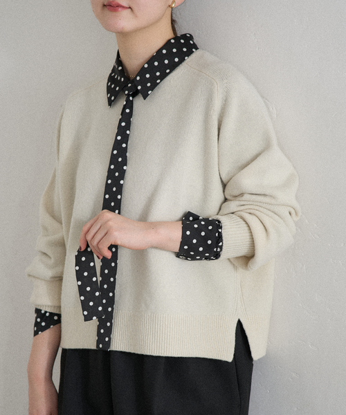 IENA（イエナ）の「《WEB限定/追加4》サテンドットタイ付ブラウス（シャツ/ブラウス・レディース・ブラック/ネイビー・FREE）」の10枚目の写真