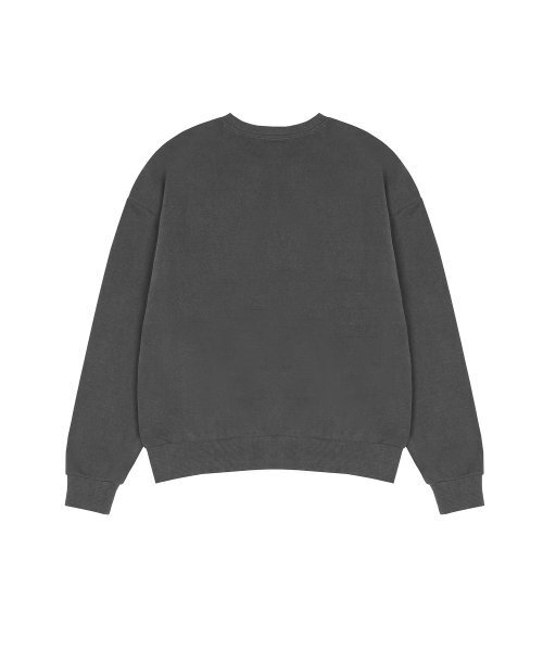 LUVISTRUE（ラヴイズトゥルー）の「STAR LOGO MTM(CHARCOAL)（スウェット・レディース・その他・FREE）」の3枚目の写真