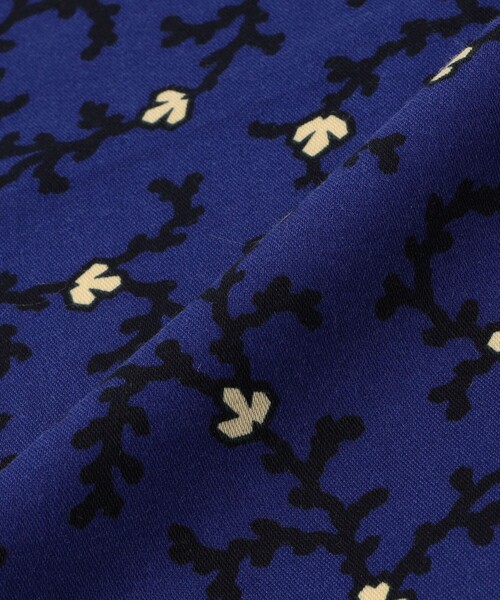 ANATOMICA(アナトミカ)の「ANATOMICA コットンサテン スカーフ(バンダナ/スカーフ・メンズ・レッド系その他/ブルー系その他2・FREE)」の6枚目の写真