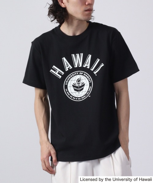 FUNALIVE(ファンアライブ)の「HAWAII 半袖Tシャツ(Tシャツ/カットソー・メンズ・ブラック/ホワイト系/グレー/ホワイト/グレー系・XL/M/L/S)」の3枚目の写真