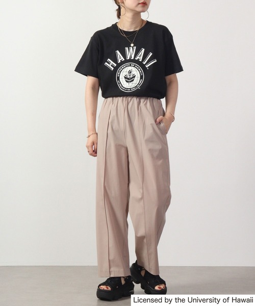 FUNALIVE(ファンアライブ)の「HAWAII 半袖Tシャツ(Tシャツ/カットソー・メンズ・ブラック/ホワイト系/グレー/ホワイト/グレー系・XL/M/L/S)」の7枚目の写真