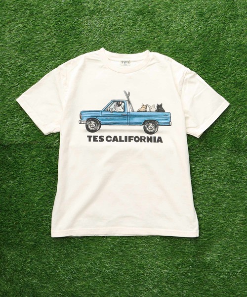 The Endless Summer（エンドレスサマー）の「TES 4BUHI SURF TRUCK T-SHIRT / Tシャツ（Tシャツ/カットソー・メンズ・グレー/アイボリー/ホワイト/グリーン系その他3・SMALL/MEDIUM/LARGE/X-LARGE/XX-LARGE）」の8枚目の写真