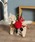studio CLIP�i�X�^�f�B�I�N���b�v�j�́u�u������i�C���e���A�G�݁j�v�b���̑�1
