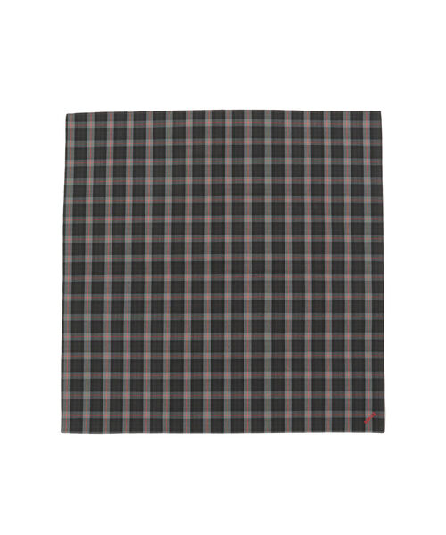 BEAMS（ビームス）の「BEAMS / タータンチェック ハンカチーフ②（ハンカチ/ハンドタオル・メンズ・グリーン/ネイビー/その他1/ベージュ/レッド/ホワイト/ブラウン系その他4/ブラック/ブラウン系その他・ONE SIZE）」の2枚目の写真