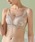 Lace Ladies�i���[�X���f�B�[�X�j�́u�o�X�g�{�����[���_�E�� ���[�X �m�����C���[�u���W���[�i�u���W���[�j�v�b�O���C�b�V���x�[�W��