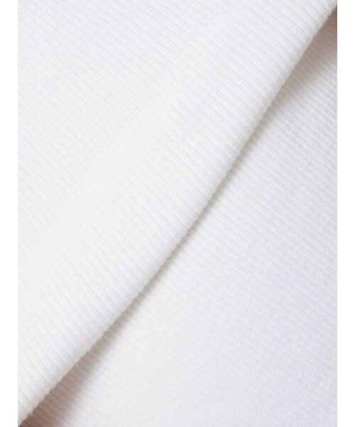 EMODA（エモダ）の「ラウンドフックショートトップ（Tシャツ/カットソー・レディース・ブラック/ホワイト/ブルー/その他・FREE）」の12枚目の写真