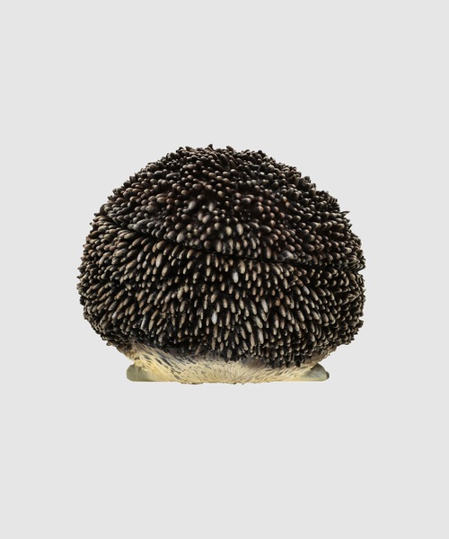 JW Anderson（ジェイダブリューアンダーソン）の「バッグ（ハンドバッグ・メンズ・ダークブラウン・ONE SIZE）」の3枚目の写真