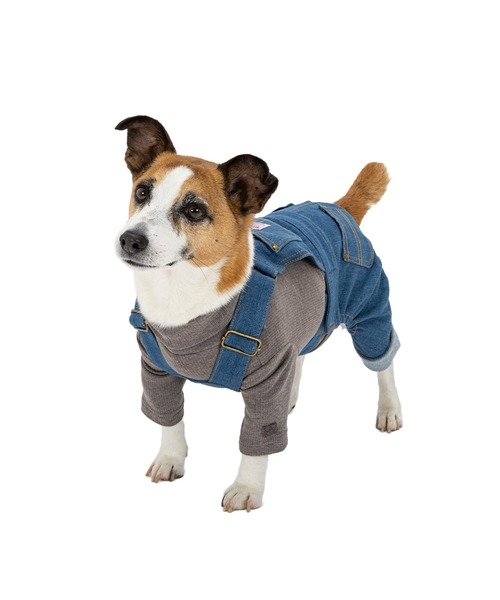 オーバーオール/小型犬（ペットウェア）｜MANDARINE BROTHERS