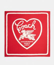 COACH（コーチ）の「シグネチャー デイジー クラスター プリント