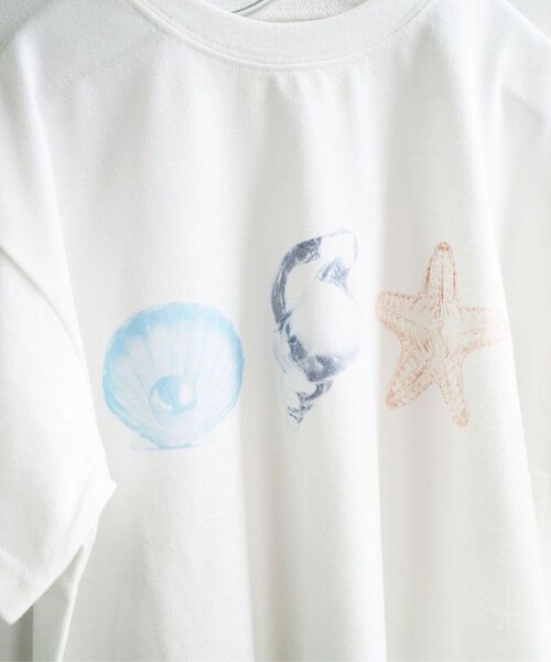 aBity select(アビティセレクト)の「【aBity select./アビティセレクト】アソート 3連モチーフ半袖Tシャツ(Tシャツ/カットソー・キッズ・ホワイト/ライトグレー/クリーム・120/110/100/90)」の4枚目の写真