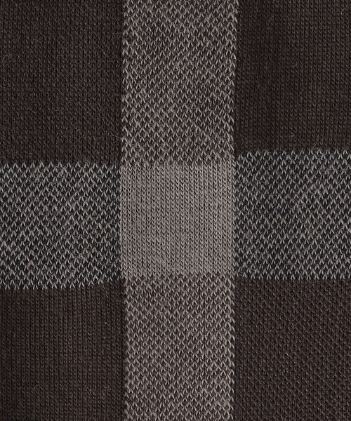 BLACK LABEL CRESTBRIDGE（ブラックレーベル・クレストブリッジ）の「クレストブリッジチェックソックス（ソックス/靴下・メンズ・ベージュ系その他6/ベージュ系その他/ダークブラウン/ブラック/レッド系その他2・FREE）」の14枚目の写真