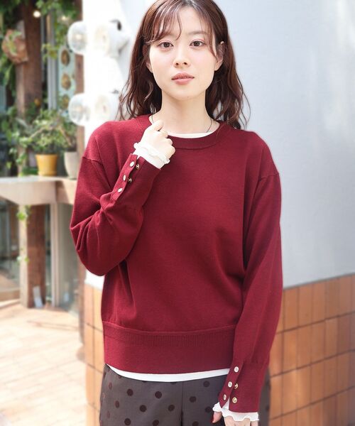 le.coeur blanc(ルクールブラン)の「スリーブボタンクループルオーバー(ニット/セーター・レディース・ブラック系その他/ダークグリーン/ブラウン系その他2/ベージュ/ボルドー・38)」の16枚目の写真