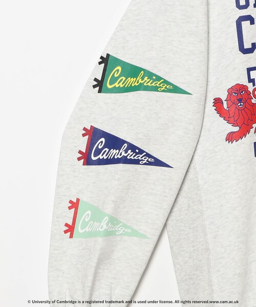 wiffle（ウィッフル）の「WIFFLE / CAMBRIDGE1（スウェット・メンズ・ライトグレー・L/S/M/XL）」の6枚目の写真