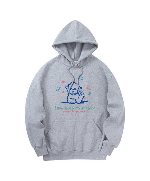 RADINEO(ラディネオ)の「ラブリー フードパーカー グレー(パーカー・メンズ・その他・LARGE/MEDIUM/X-LARGE)」の1枚目の写真