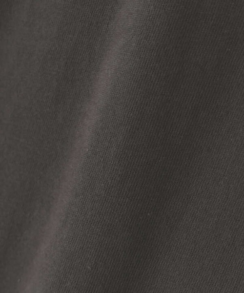 N.（N. Natural Beauty Basic）（エヌエヌナチュラルビューティーベーシック）の「◆ロゴプリントモノクロロングＴシャツ（Tシャツ/カットソー・レディース・オフホワイト/スミクロ・MEDIUM）」の15枚目の写真