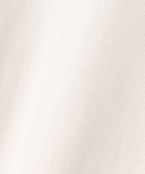 N.（N. Natural Beauty Basic）（エヌエヌナチュラルビューティーベーシック）の「◆ロゴプリントモノクロロングＴシャツ（Tシャツ/カットソー・レディース・オフホワイト/スミクロ・MEDIUM）」の17枚目の写真