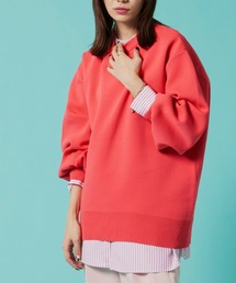 Auntie Rosa Holiday | スウェットライククルーニットプルオーバー(ニット/セーター)