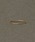 JUPITER�i�W���s�^�[�j�́u�y�V���[�Y�݌v�̔� 1500�_�˔j�I�z�yK18�z�x�[�V�b�N�X���������O/good-luck/�����A�����M�[�Ή�<���悠��>�i�����O�j�v�b�S�[���h