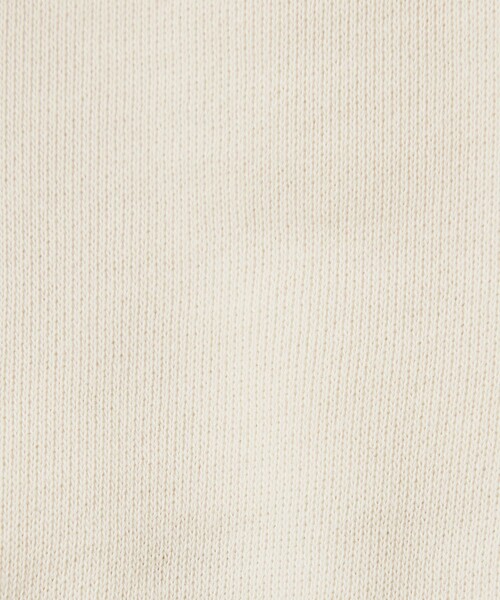 CITEN（シテン）の「＜CITEN＞ロゴスウェット（スウェット・レディース・ライトグレー/ライトブルー/オフホワイト・FREE）」の20枚目の写真