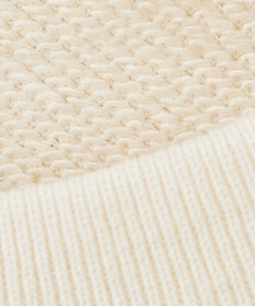 CITEN（シテン）の「＜CITEN＞ロゴスウェット（スウェット・レディース・ライトグレー/ライトブルー/オフホワイト・FREE）」の21枚目の写真