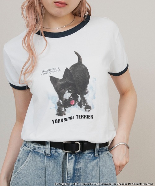 forksy.(フォルクシー)の「【forksy.】【THE SATURDAY EVENING POST】別注 グラフィックDOGリンガー半袖Tシャツ(Tシャツ/カットソー・レディース・グレイッシュベージュ/杢グレー/オフホワイト・FREE)」の22枚目の写真