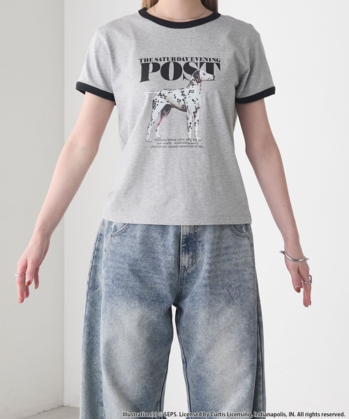 forksy.(フォルクシー)の「【forksy.】【THE SATURDAY EVENING POST】別注 グラフィックDOGリンガー半袖Tシャツ(Tシャツ/カットソー・レディース・グレイッシュベージュ/杢グレー/オフホワイト・FREE)」の4枚目の写真