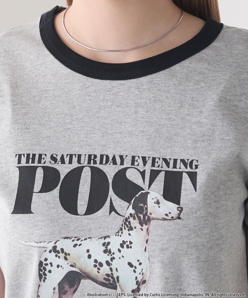 セール】【forksy.】【THE SATURDAY EVENING POST】別注