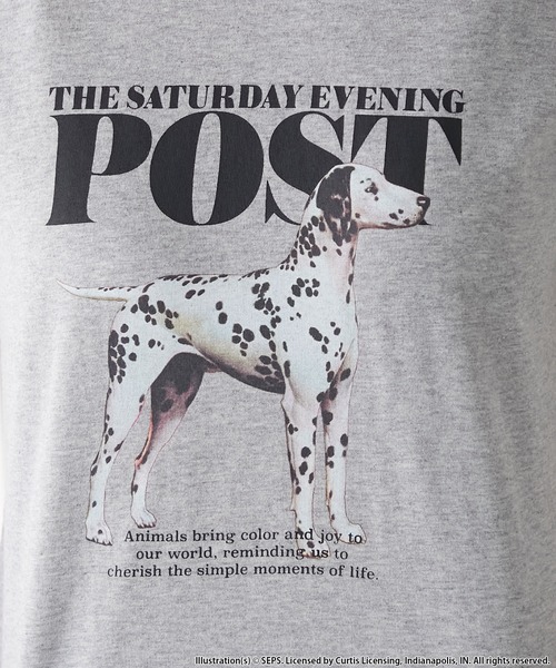 tシャツ 「THE SATURDAY EVENING POST」Cover girl グラフィックプリントリンガーTシャツ レディース メンズ セール】【forksy.】【THE SATURDAY EVENING POST】別注