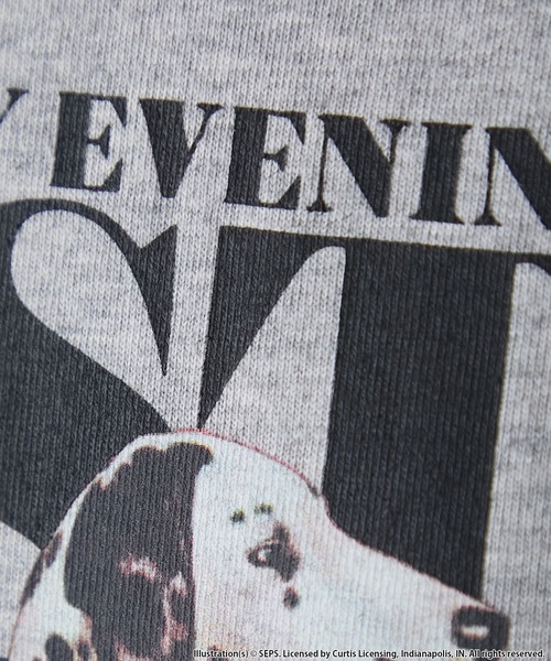 forksy.(フォルクシー)の「【forksy.】【THE SATURDAY EVENING POST】別注 グラフィックDOGリンガー半袖Tシャツ(Tシャツ/カットソー・レディース・グレイッシュベージュ/杢グレー/オフホワイト・FREE)」の8枚目の写真