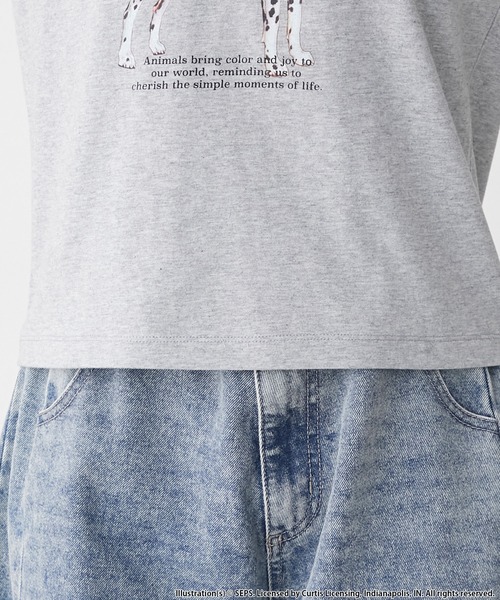 forksy.(フォルクシー)の「【forksy.】【THE SATURDAY EVENING POST】別注 グラフィックDOGリンガー半袖Tシャツ(Tシャツ/カットソー・レディース・グレイッシュベージュ/杢グレー/オフホワイト・FREE)」の9枚目の写真