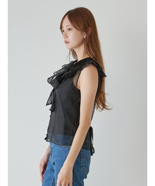 SNIDEL（スナイデル）の「ビッグカラーシアーブラウス（シャツ 